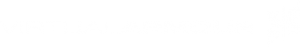 VirtualArmour Logo