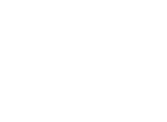 500 Hottest Companies Logo