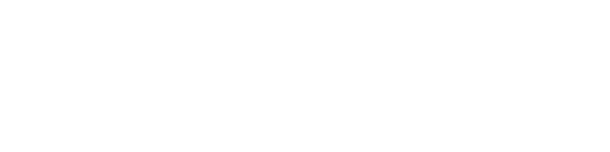 Virtual Armour Blue Logo