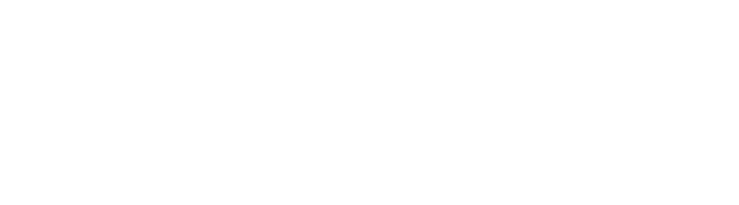 Virtual Armour Logo White