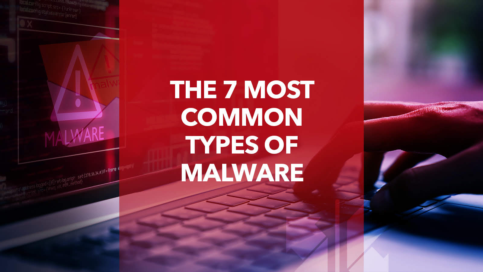 the 7 most common types of malware