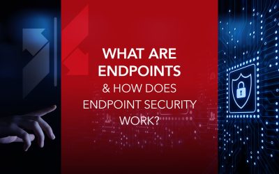What Are Endpoints (& How Does Endpoint Security Work)?